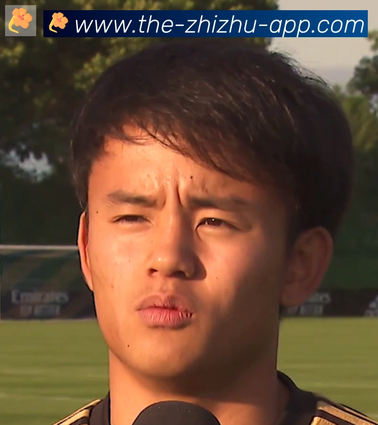 维尼修斯